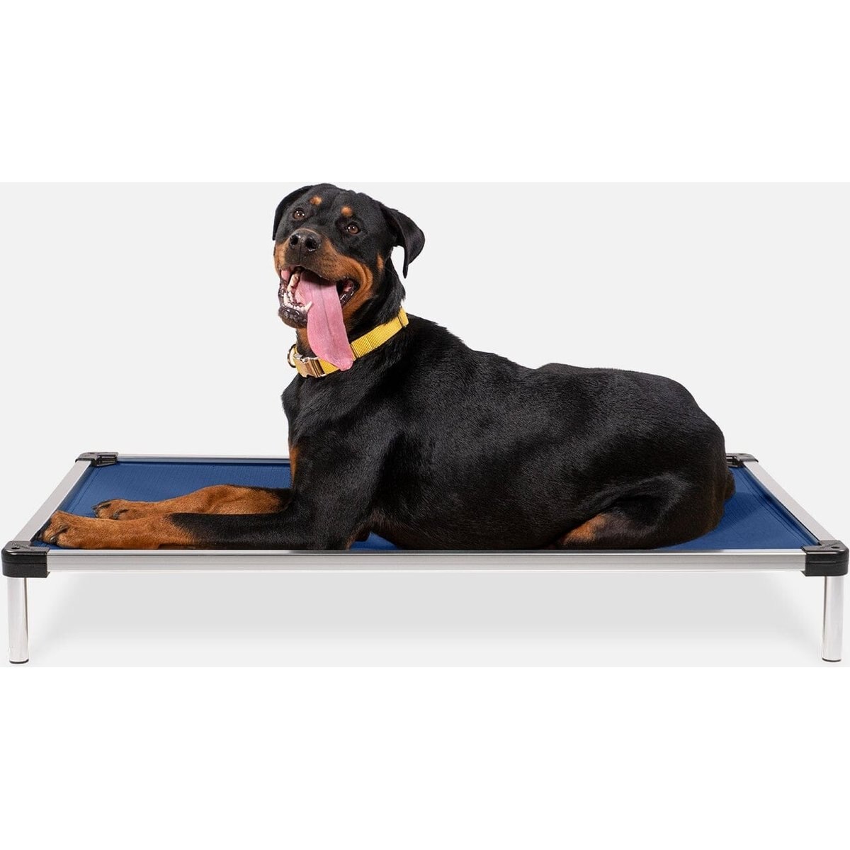 K9 Ballistics Chew Proof Armored Ripstop Elevated Dog Bed, Blue Quartz, X-Large