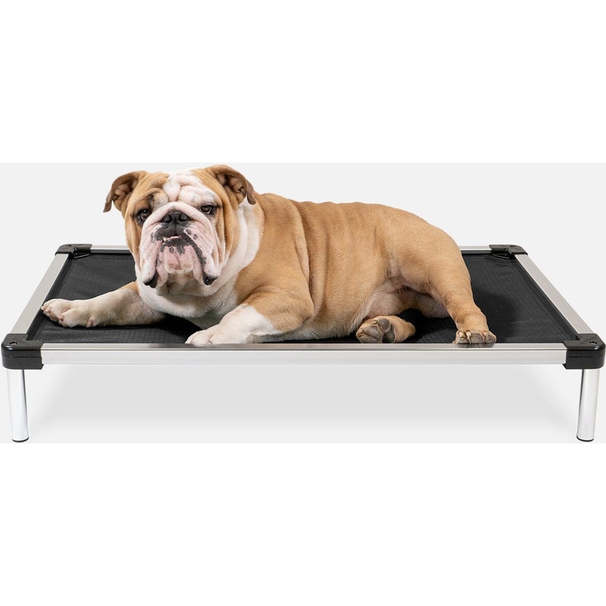 K9 Ballistics Chew Proof Armored Ripstop Elevated Dog Bed, Obsidian Black, Small