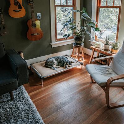 Show full view: K9 Ballistics Chew Proof Armored Padded Elevated Dog Bed, Blue Quartz, Medium slide 7 of 11