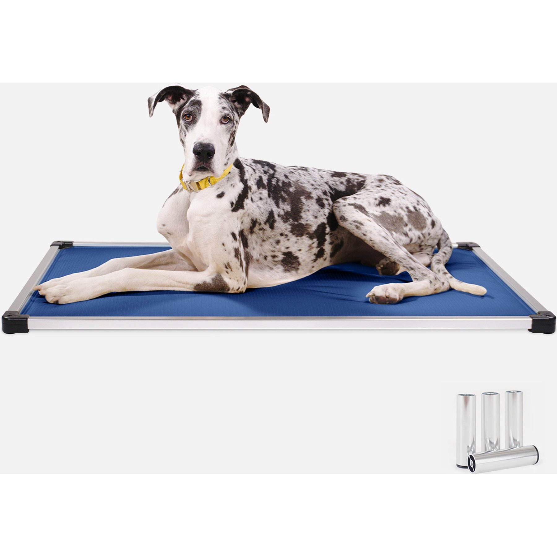 K9 Ballistics Chew Proof Armored Padded Elevated Dog Bed, Blue Quartz, Medium