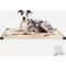 Show in main carousel: K9 Ballistics Chew Proof Armored Padded Elevated Dog Bed, Sandstone, X-Large slide 1 of 12