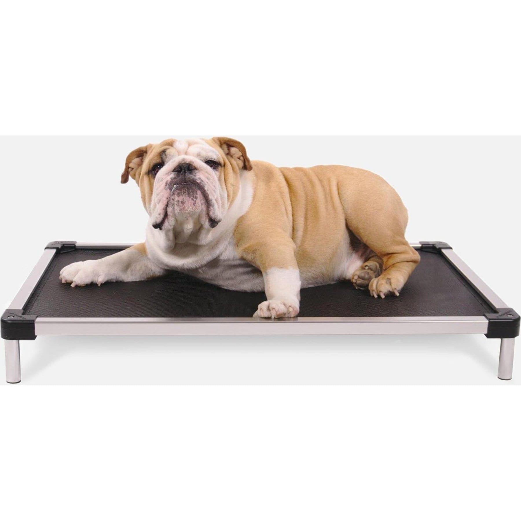K9 Ballistics K9 Ballistics Chew Proof Armored Mesh Elevated Dog Bed, Black Mesh, Small