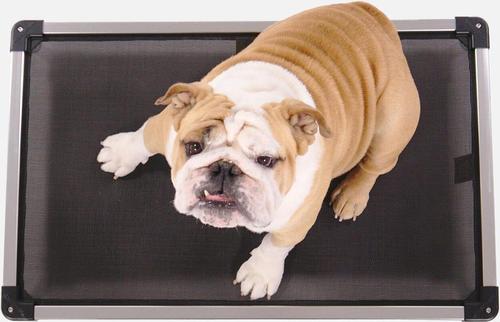 Show full view: K9 Ballistics Chew Proof Armored Mesh Elevated Dog Bed, Black Mesh, Large slide 2 of 8