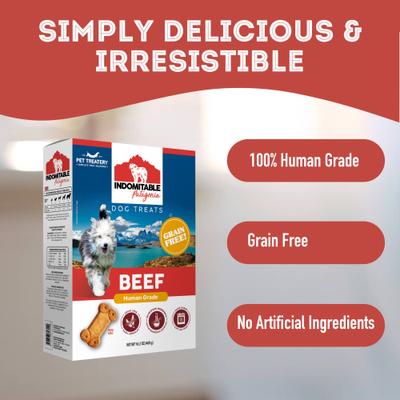 Show full view: The Granville Island Pet Treatery Indomitable Patagonia Grain-Free Beef Crunchy Dog Treats, 16.2-oz box slide 4 of 9