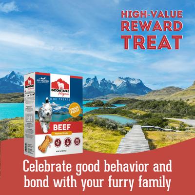 Show full view: The Granville Island Pet Treatery Indomitable Patagonia Grain-Free Beef Crunchy Dog Treats, 16.2-oz box slide 6 of 9