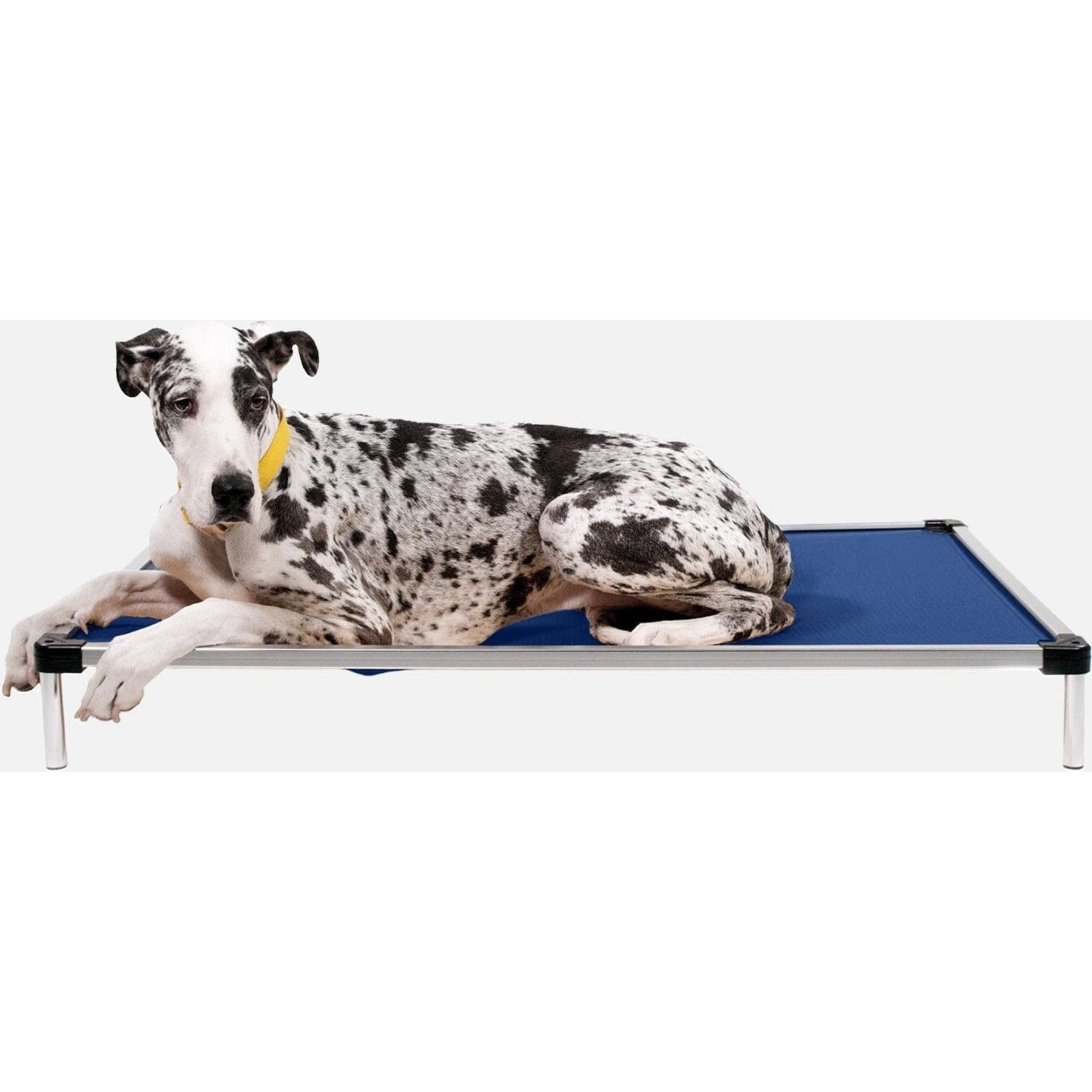 K9 Ballistics Chew Proof Armored Ripstop Elevated Dog Bed, Blue Quartz, XX-Large