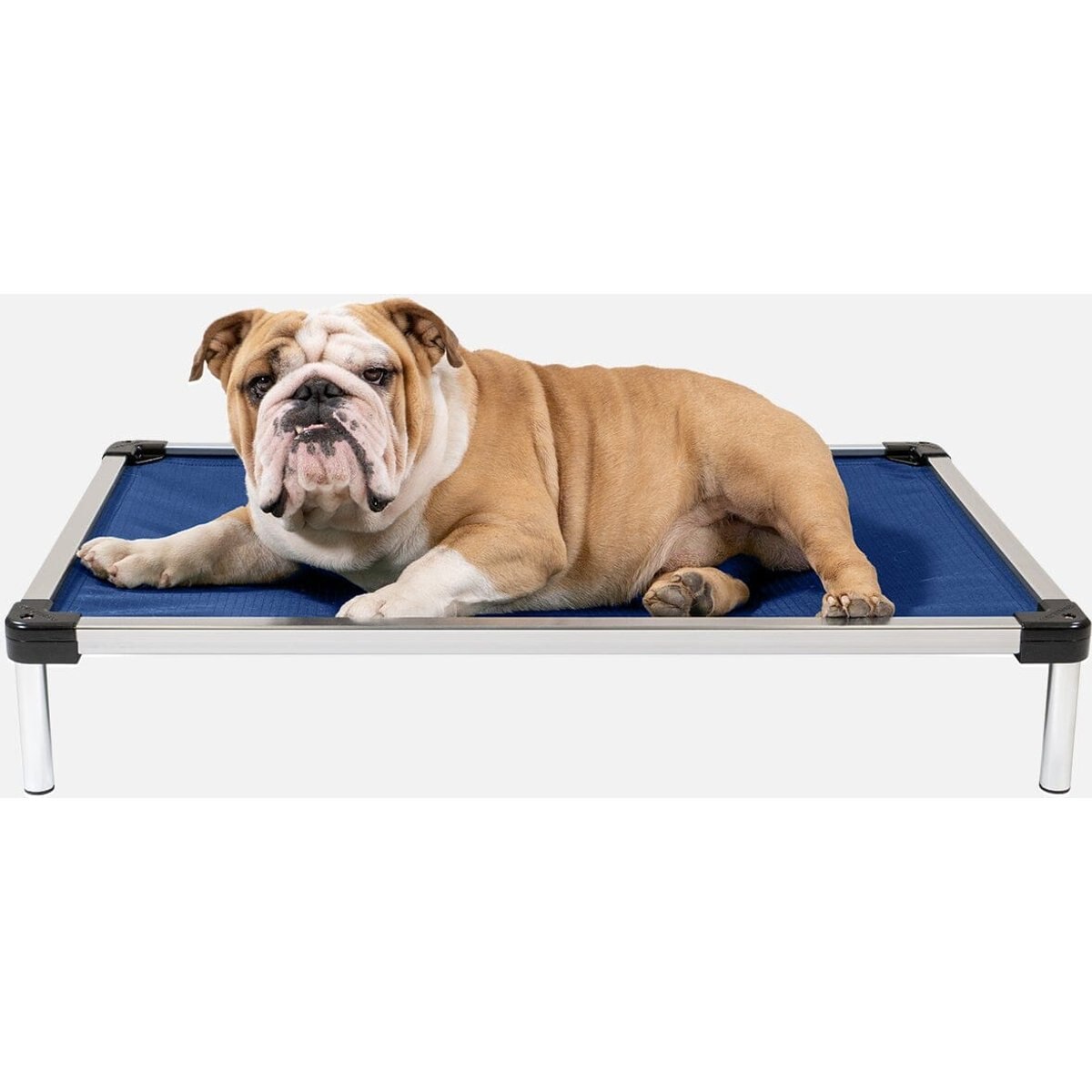 K9 Ballistics Chew Proof Armored Ripstop Elevated Dog Bed, Blue Quartz, Small