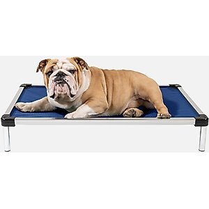 PETIQUE Bedside Lounge Elevated Dog Bed, Zebra Vibes - Chewy.com PETIQUE Bedside Lounge Elevated Dog Bed, Zebra Vibes - Chewy.com