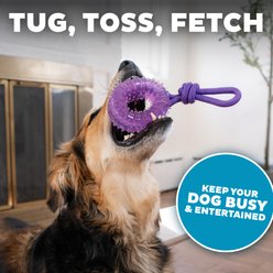 Outward Hound 2-in-1 Dental Wheel Dog Chew & Tug Toy, Purple slide 2 of 7