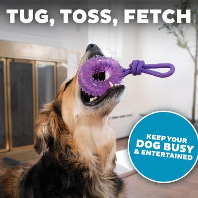 Show full view: Outward Hound 2-in-1 Dental Wheel Dog Chew & Tug Toy, Purple slide 5 of 9