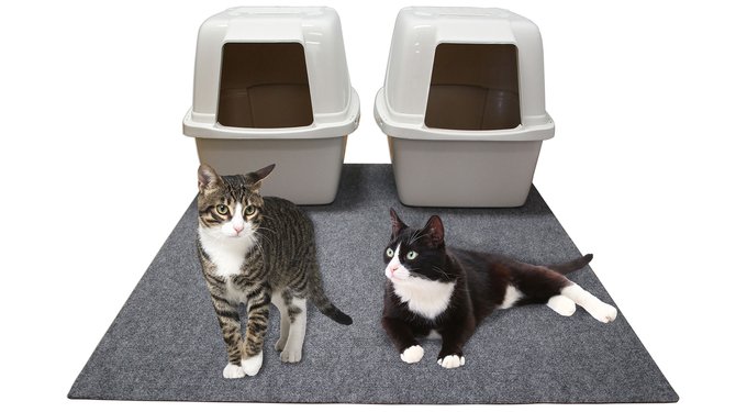 Drymate Protective & Decorative Cat Litter Mat, Paw Dots, Large, 20-in x 28-in