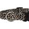 Show in main carousel: Country Brook Petz Deluxe Cheetah Dog Collar, Black, 9 to 11-in neck, 1/2-in wide slide 5 of 5