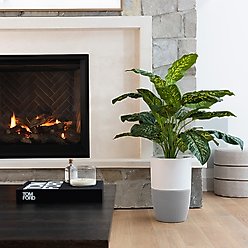 Dupray Bloom Air Purifier slide 2 of 9