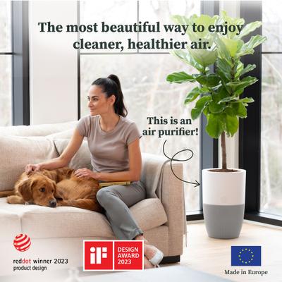 Show full view: Dupray Bloom Air Purifier slide 2 of 10