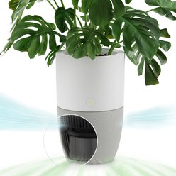 Dupray Bloom Air Purifier