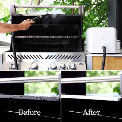 Show full view: Dupray Neat Steam Cleaner slide 9 of 11