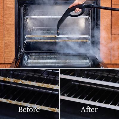 Show full view: Dupray Neat Steam Cleaner slide 8 of 11