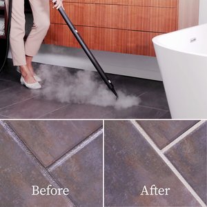 Dupray Neat Steam Cleaner