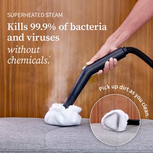 Dupray Neat Steam Cleaner