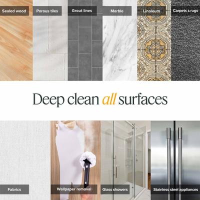 Show full view: Dupray Neat Plus Steam Cleaner slide 9 of 11