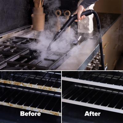 Show full view: Dupray Neat Plus Steam Cleaner slide 6 of 11