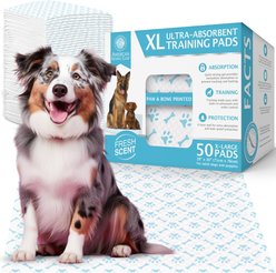 American Kennel Club Paw & Bone Print Dog Training Pads, Blue, 28 X 30-in, 50 count