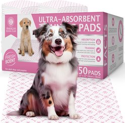 American Kennel Club Paw & Bone Print Dog Training Pads, Pink, 22 X 22-in, 50 count