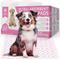 Show in main carousel: American Kennel Club Paw & Bone Print Dog Training Pads, Pink, 22 X 22-in, 50 count slide 1 of 7
