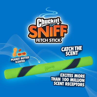 Show full view: Chuckit! Sniff Fetch Stick Dog Toy, Green, Peanut Butter Scent slide 4 of 7
