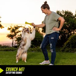 Hyper Pet Hyper-Bonz Rubber Crunch Dog Chew Toy, Yellow, Beef Scent slide 2 of 6