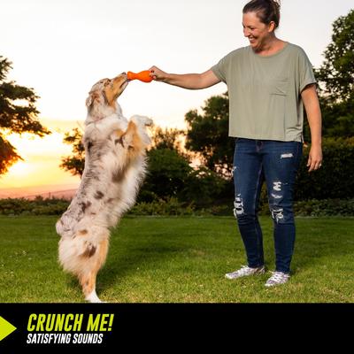 Show full view: Hyper Pet Hyper-Bonz Rubber Crunch Drumstick Dog Chew Toy, Yellow, Turkey Scent slide 4 of 6