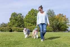 Chuckit! The Duo Double 22M Launcher Dog Toy, Blue slide 2 of 5