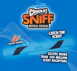 Chuckit! Sniff Fetch Stick Dog Toy, Green, Bacon Scent slide 2 of 7