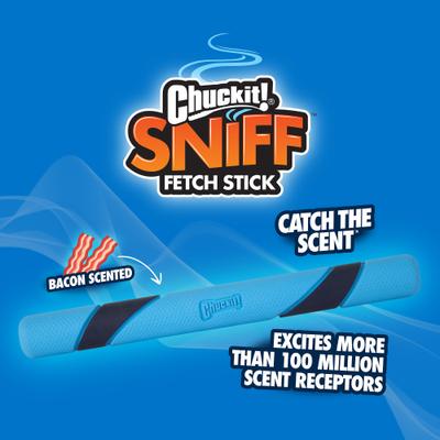 Show full view: Chuckit! Sniff Fetch Stick Dog Toy, Green, Bacon Scent slide 4 of 7