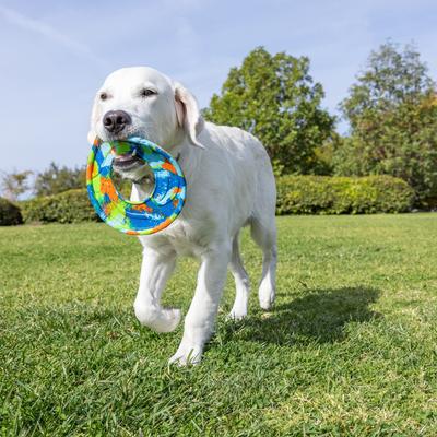 Show full view: Chuckit! ECOFETCH Flyer Dog Toy, Medium slide 6 of 8