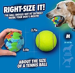 Chuckit! ECOFETCH Ball Dog Toys, Medium, 3 count slide 2 of 6