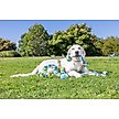 Show in main carousel: Chuckit! ECOFETCH Ball Dog Toys, Medium, 3 count slide 3 of 6
