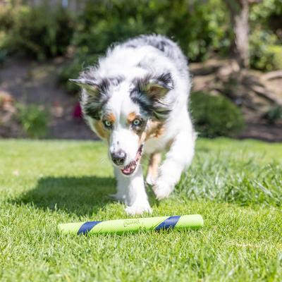 Show full view: Chuckit! Sniff Fetch Stick Dog Toy, Green, Peanut Butter Scent slide 6 of 7