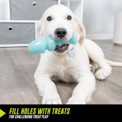 Show full view: Hyper Pet Hyper-Bonz Rubber Glow Treat Dog Chew Toy, Blue, Salmon Scent slide 5 of 6