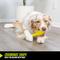 Show in main carousel: Hyper Pet Hyper-Bonz Rubber Crunch Dog Chew Toy, Yellow, Beef Scent slide 3 of 6