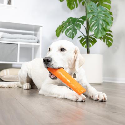 Show full view: Chuckit! Super Crunch Stick Dog Toy, Orange slide 5 of 7