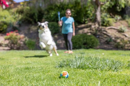Show full view: Chuckit! ECOFETCH Sport 18M Launcher Dog Toy, Blue slide 4 of 5