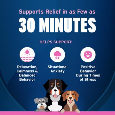 Show full view: Pet Protect Fast Acting Calming Supplement for Dogs, 60 count slide 10 of 12