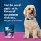 Show in main carousel: Pet Protect Fast Acting Calming Supplement for Dogs, 60 count slide 7 of 12