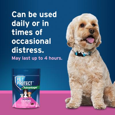 Show full view: Pet Protect Fast Acting Calming Supplement for Dogs, 60 count slide 7 of 12