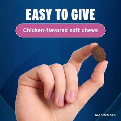 Show full view: Pet Protect Fast Acting Calming Supplement for Dogs, 60 count slide 6 of 12