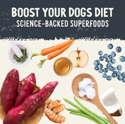 Health Extension Salmon Recipe Freeze-Dried Raw Dog Food, 12-oz bag slide 2 of 8