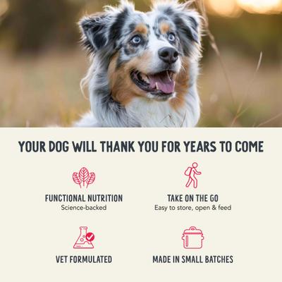 Show full view: Health Extension Beef Recipe Freeze-Dried Raw Dog Food, 3.5-oz bag slide 8 of 11