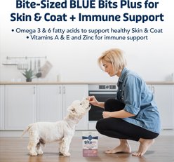 Blue Buffalo Blue Bits Plus Salmon Flavor Skin, Coat & Immune Support Soft & Chewy Dog Treats, 9.5-oz bag slide 2 of 8
