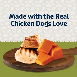 Blue Buffalo Blue Bits Plus Chicken & Pumpkin Flavor Digestion & Immune Support Soft & Chewy Dog Treats, 3.5-oz bag slide 2 of 8